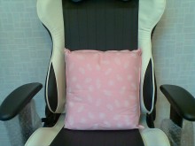 It can be used for back cushion.
可以作為靠背使用.
Cushion size(cm): 38 x 38
